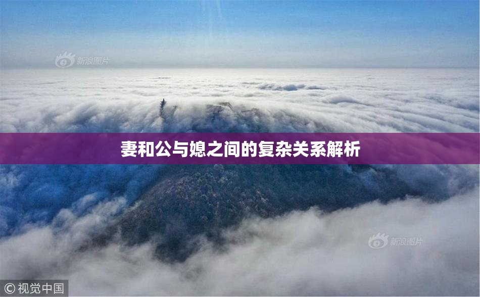妻和公与媳之间的复杂关系解析