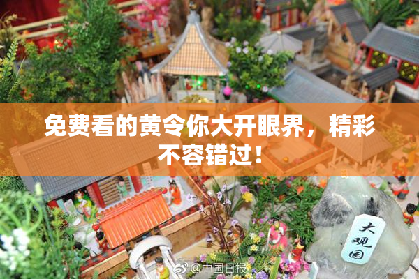 免费看的黄令你大开眼界，精彩不容错过！