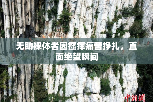无助裸体者因瘙痒痛苦挣扎，直面绝望瞬间