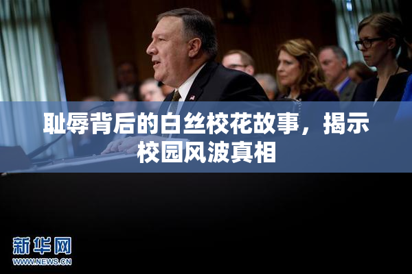 耻辱背后的白丝校花故事，揭示校园风波真相