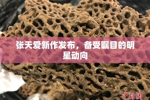 张天爱新作发布，备受瞩目的明星动向