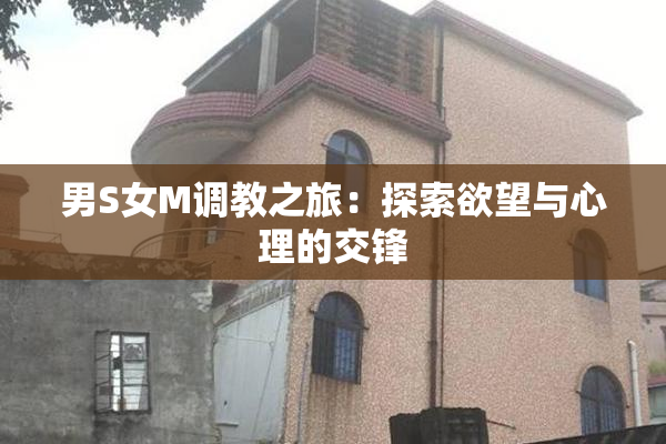 男S女M调教之旅：探索欲望与心理的交锋