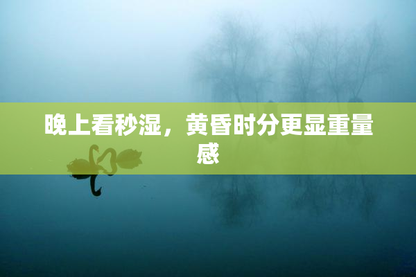 晚上看秒湿，黄昏时分更显重量感