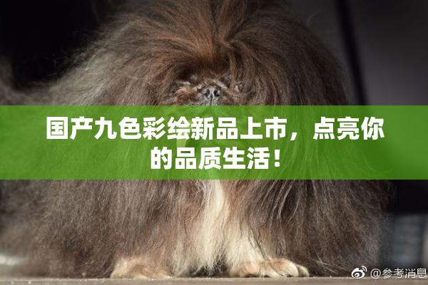 国产九色彩绘新品上市，点亮你的品质生活！