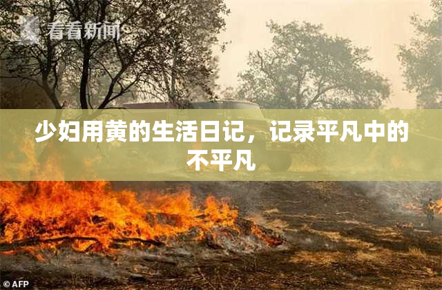 少妇用黄的生活日记，记录平凡中的不平凡
