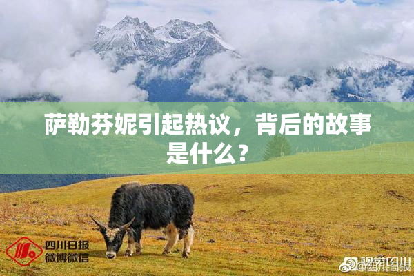 萨勒芬妮引起热议，背后的故事是什么？
