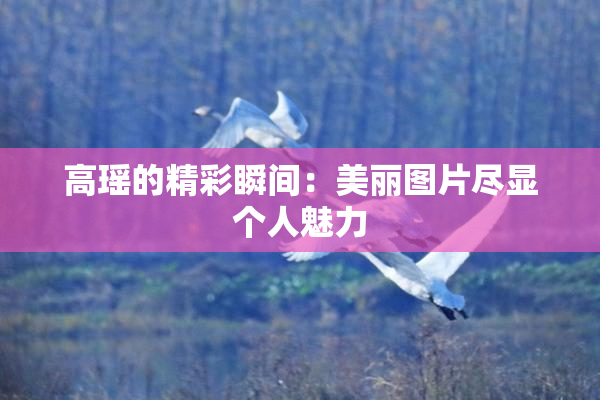 高瑶的精彩瞬间：美丽图片尽显个人魅力