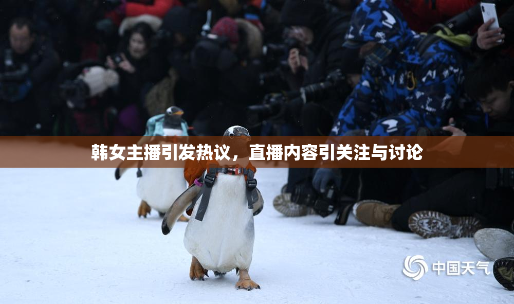 韩女主播引发热议，直播内容引关注与讨论