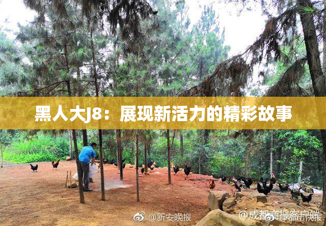 黑人大J8：展现新活力的精彩故事