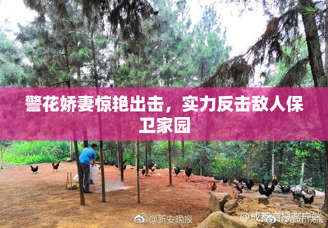 警花娇妻惊艳出击，实力反击敌人保卫家园