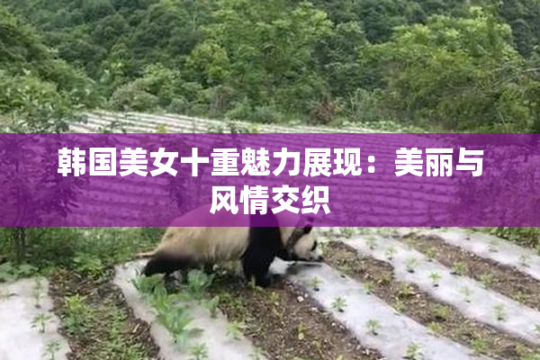 韩国美女十重魅力展现：美丽与风情交织