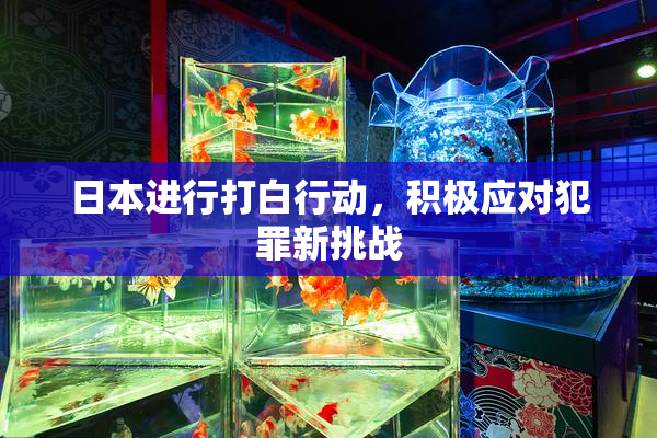 日本进行打白行动，积极应对犯罪新挑战