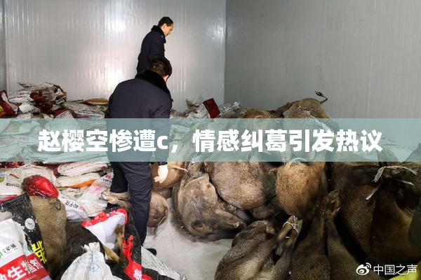 赵樱空惨遭c，情感纠葛引发热议