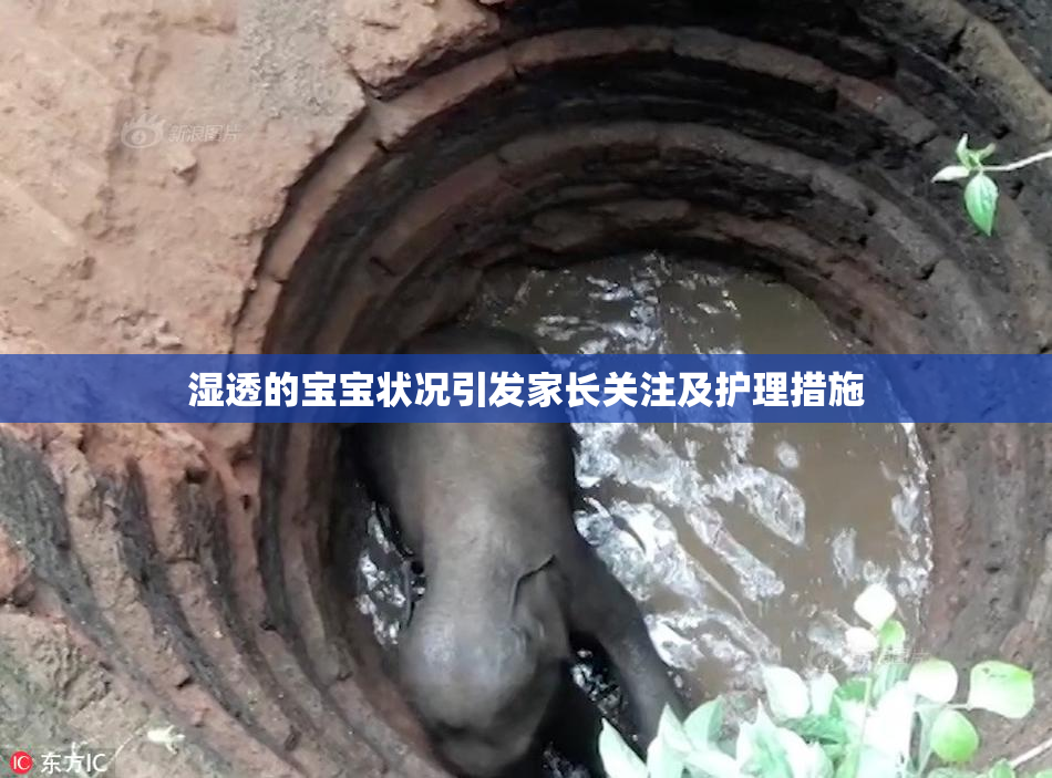 湿透的宝宝状况引发家长关注及护理措施