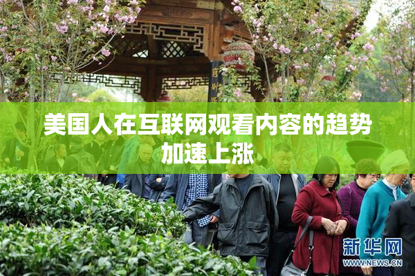美国人在互联网观看内容的趋势加速上涨