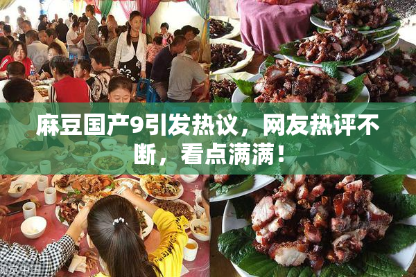 麻豆国产9引发热议，网友热评不断，看点满满！