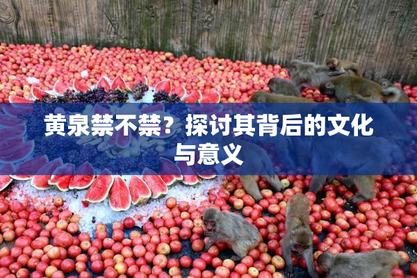 黄泉禁不禁？探讨其背后的文化与意义
