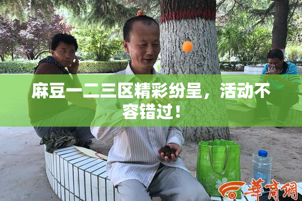 麻豆一二三区精彩纷呈，活动不容错过！