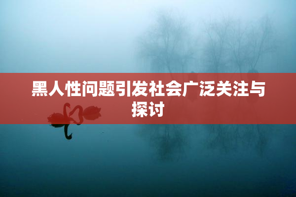 黑人性问题引发社会广泛关注与探讨
