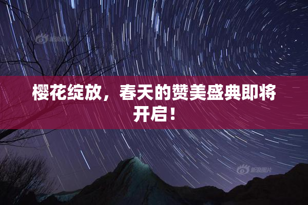樱花绽放，春天的赞美盛典即将开启！