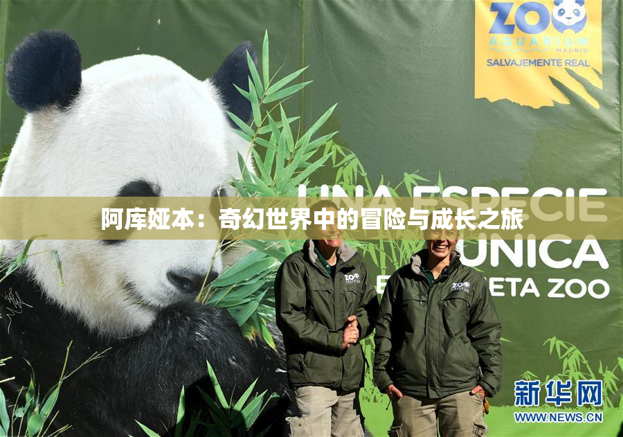 阿库娅本：奇幻世界中的冒险与成长之旅