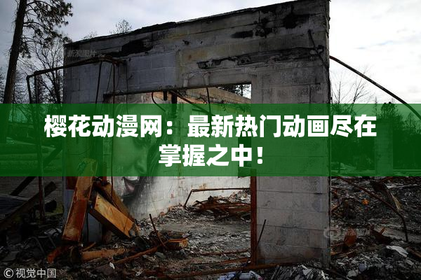 樱花动漫网：最新热门动画尽在掌握之中！