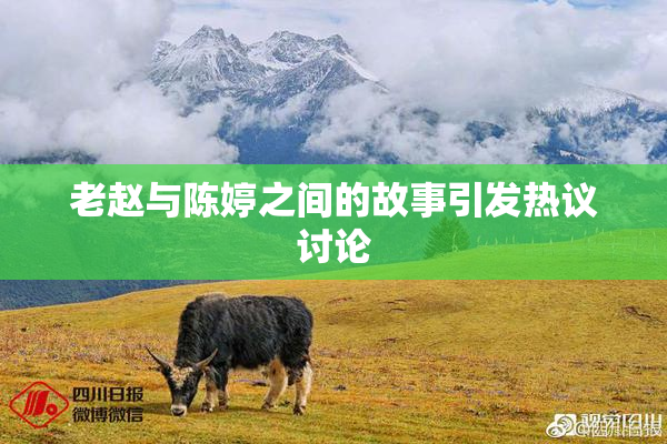 老赵与陈婷之间的故事引发热议讨论