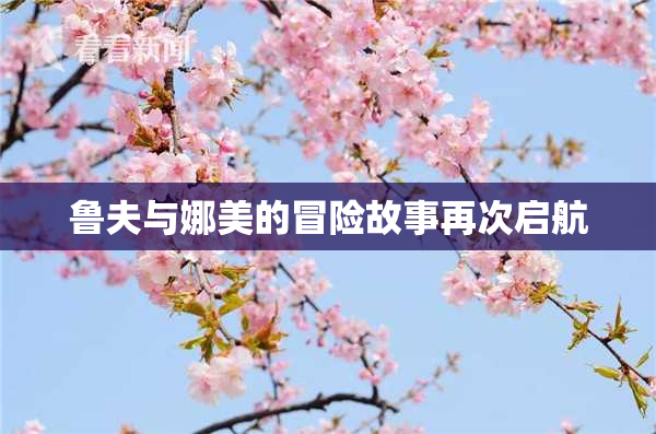 鲁夫与娜美的冒险故事再次启航