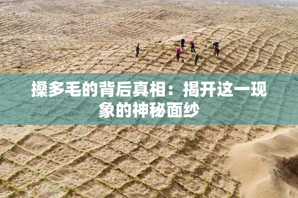 搡多毛的背后真相：揭开这一现象的神秘面纱