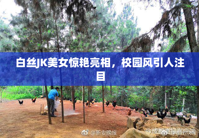 白丝JK美女惊艳亮相，校园风引人注目