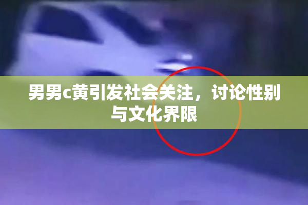 男男c黄引发社会关注，讨论性别与文化界限