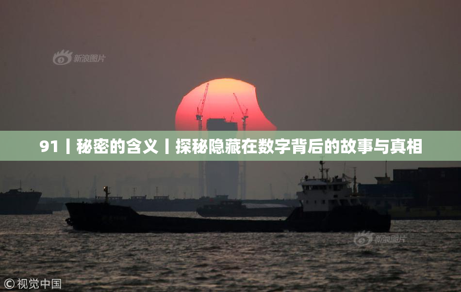 91丨秘密的含义丨探秘隐藏在数字背后的故事与真相