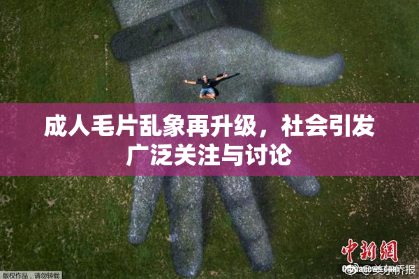 成人毛片乱象再升级，社会引发广泛关注与讨论