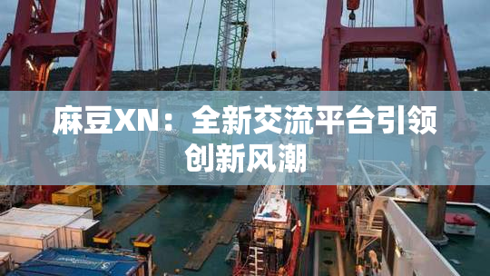 麻豆XN：全新交流平台引领创新风潮