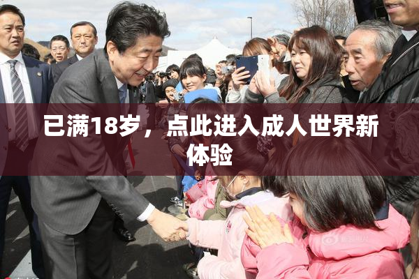 已满18岁，点此进入成人世界新体验
