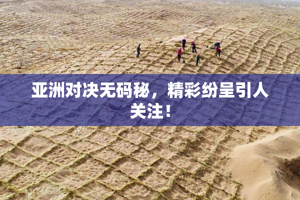 亚洲对决无码秘，精彩纷呈引人关注！