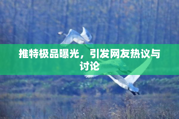 推特极品曝光，引发网友热议与讨论