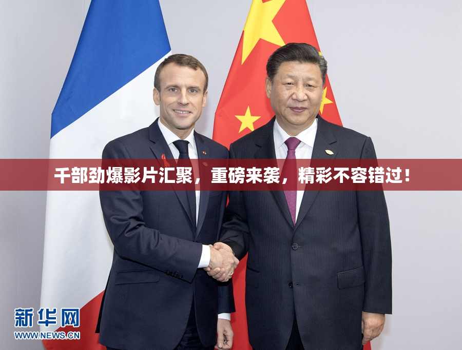 千部劲爆影片汇聚，重磅来袭，精彩不容错过！
