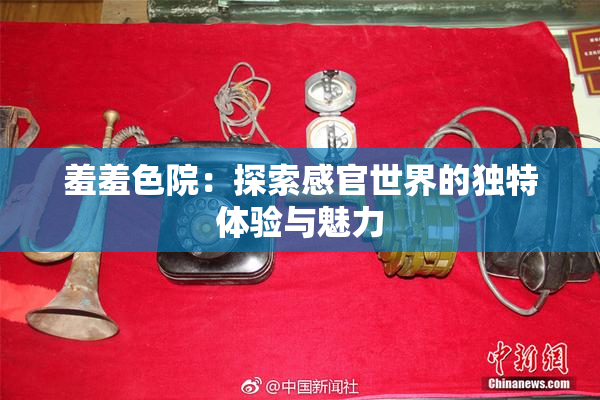 羞羞色院：探索感官世界的独特体验与魅力