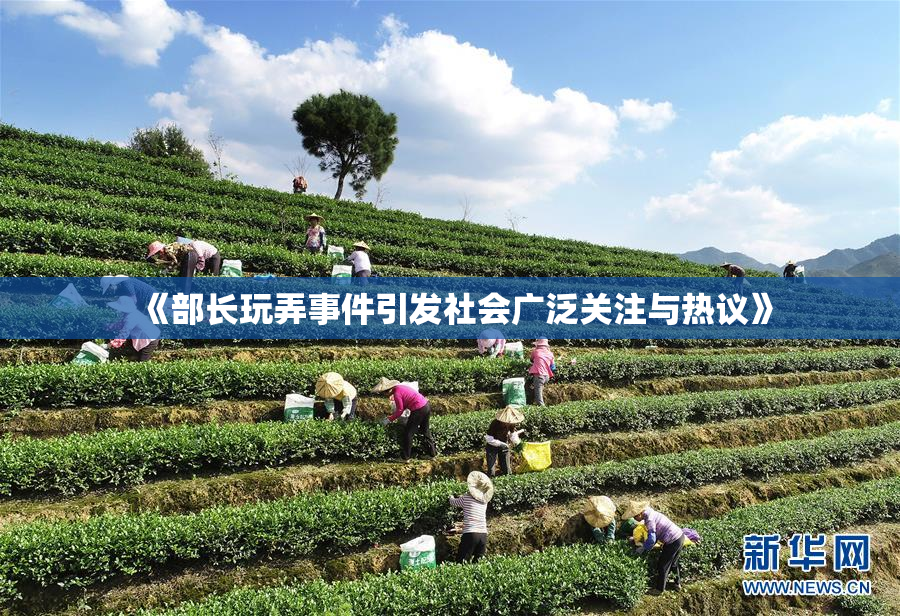 《部长玩弄事件引发社会广泛关注与热议》