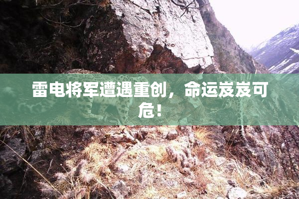 雷电将军遭遇重创，命运岌岌可危！