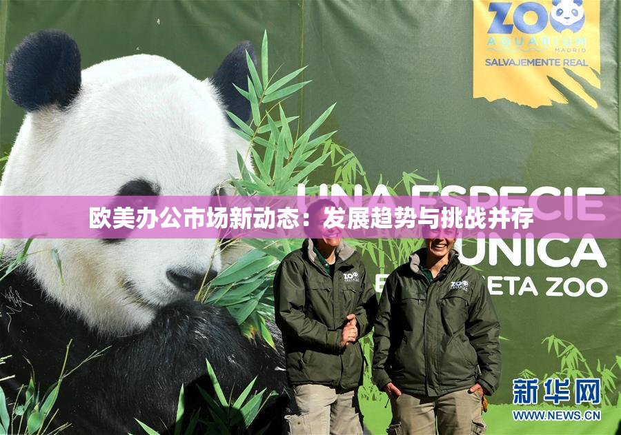 欧美办公市场新动态：发展趋势与挑战并存