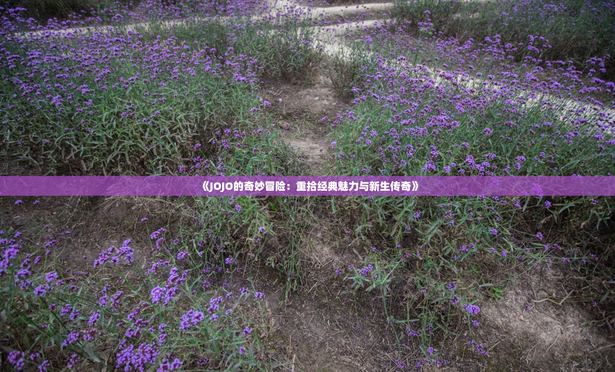 《JOJO的奇妙冒险：重拾经典魅力与新生传奇》