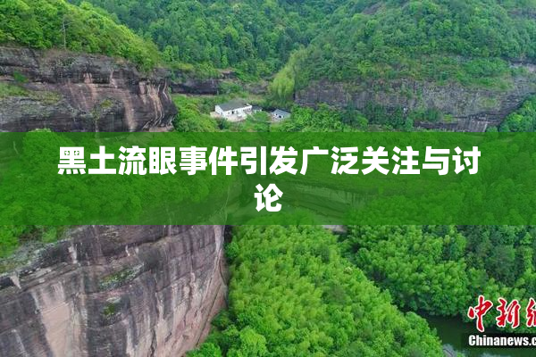 黑土流眼事件引发广泛关注与讨论