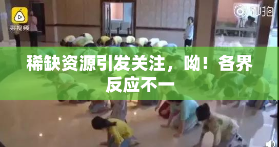 稀缺资源引发关注，呦！各界反应不一
