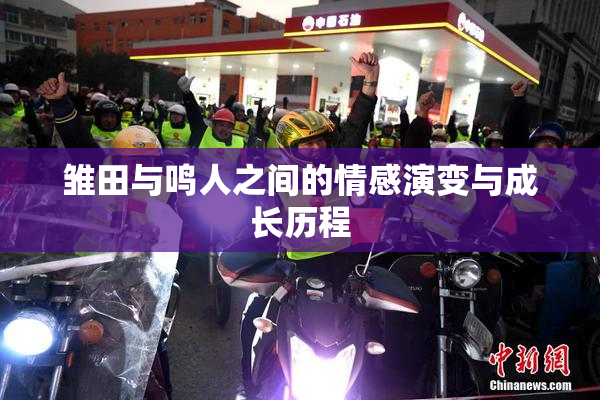 雏田与鸣人之间的情感演变与成长历程