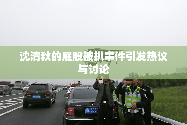沈清秋的屁股被扒事件引发热议与讨论