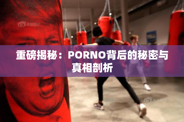 重磅揭秘：PORNO背后的秘密与真相剖析