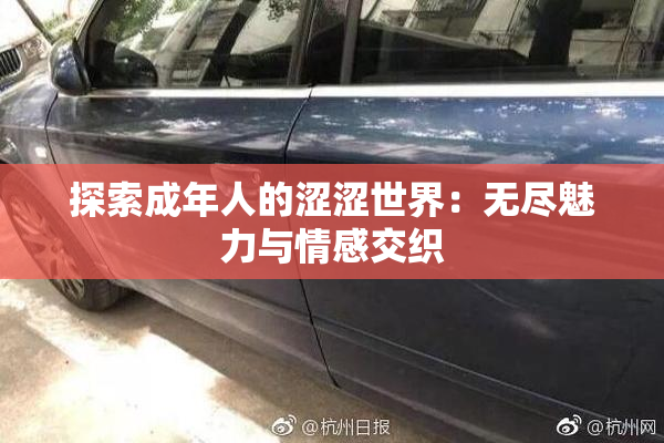 探索成年人的涩涩世界：无尽魅力与情感交织