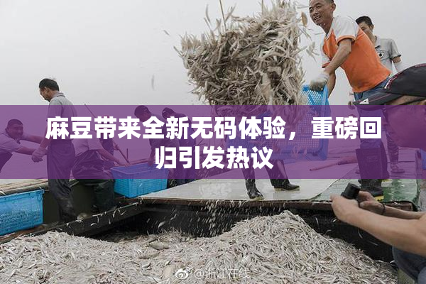 麻豆带来全新无码体验，重磅回归引发热议